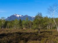 Im Egerndacher Filz mit Hochplatte Blick